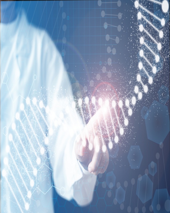 進口代理服務流程